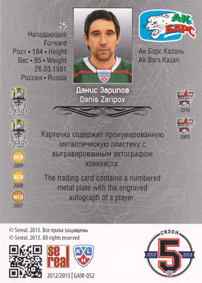 Danis Zaripov Baksida