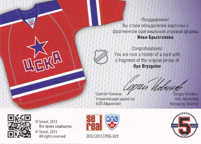 Ilya Bryzgalov Baksida