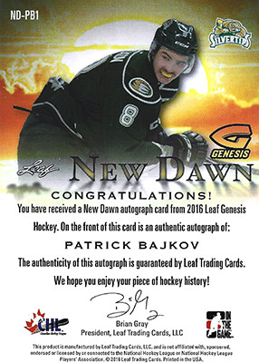 Patrik Bajkov Baksida